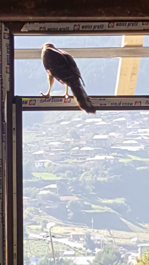 Rustaveli St11 Ξενοδοχείο Kazbegi Εξωτερικό φωτογραφία